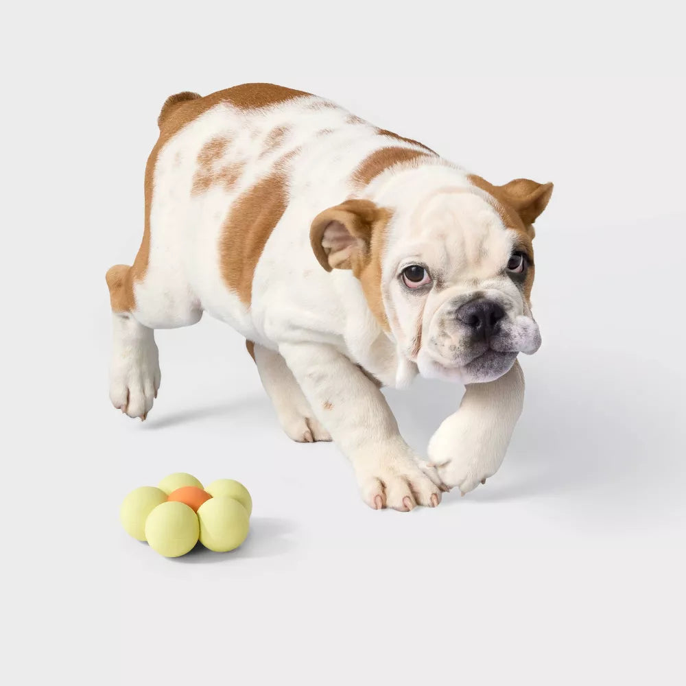 Juguete para perros en forma de flor resistente para morder y traer