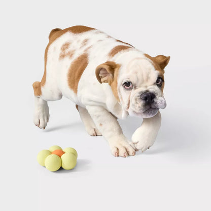 Juguete para perros en forma de flor resistente para morder y traer