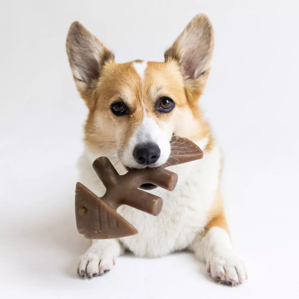 Juguete de masticar para perros forma de espina de pescado resistente