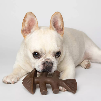 Juguete de masticar para perros forma de espina de pescado resistente