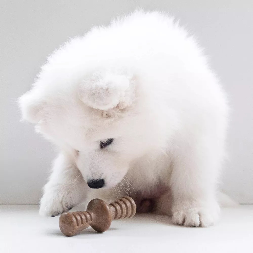 Juego de juguetes de masticar para cachorros diseño óseo resistente