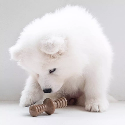 Juego de juguetes de masticar para cachorros diseño óseo resistente