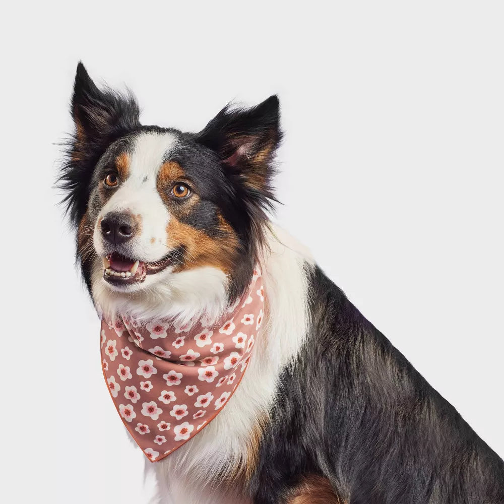 Bufanda triangular con estampado floral para perros talla universal